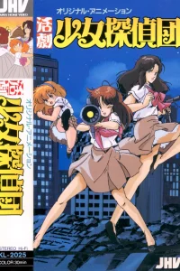 Девичий клуб детективов